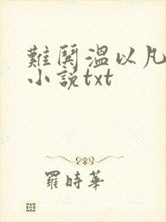 难哄温以凡桑延小说txt