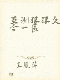 亚洲狠狠久久综合一区