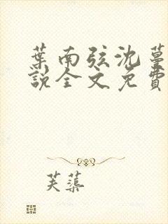 叶南弦沈蔓歌小说全文免费阅读封面