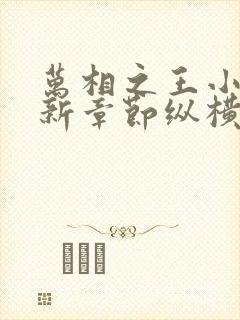 万相之王小说最新章节纵横全文阅读