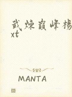 武炼巅峰杨开txt封面