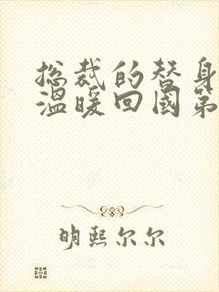 总裁的替身前妻温暖回国第几章