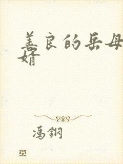 善良的岳母爱女婿