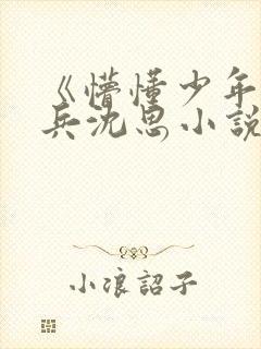 《懵懂少年》李兵沈思小说封面