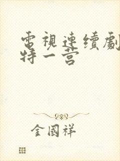 电视连续剧我的特一营封面