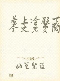 惹上冷殿下小说全文免费阅读封面