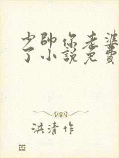 少帅你老婆又跑了小说免费封面