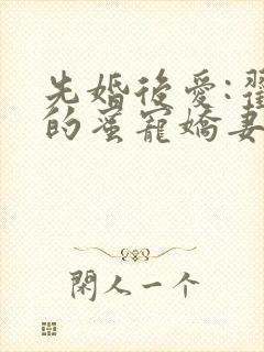 先婚后爱:翟少的蜜宠娇妻