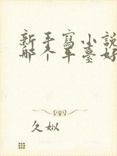 新手写小说赚钱哪个平台好