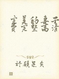 完美的妻子5免费完整高清电视剧在线看韩剧封面