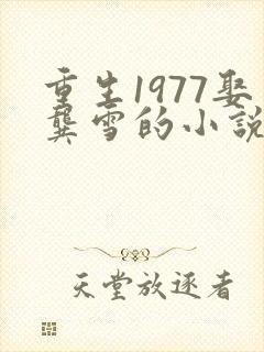 重生1977娶龚雪的小说封面