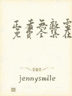 正者无敌电视剧免费全集在线观看