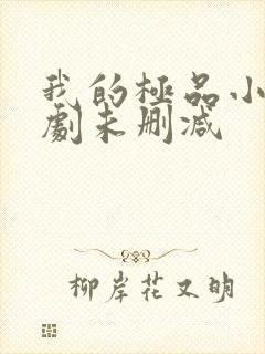 我的极品小姨短剧未删减