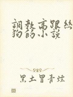 调教高跟丝袜母狗的小说