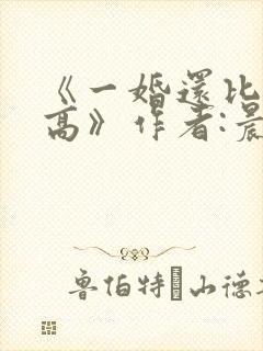 《一婚还比一婚高》作者:晨雾的光