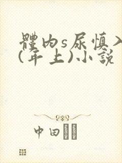 体内s尿慎入h(年上)小说封面