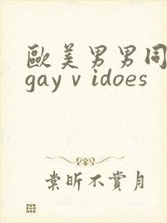 欧美男男同性恋gayⅴidoes