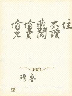 偷偷藏不住新婚免费阅读