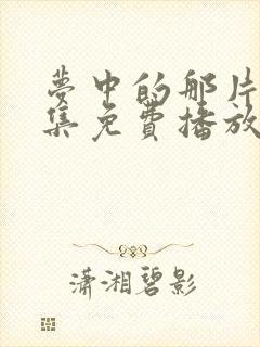 梦中的那片海全集免费播放封面