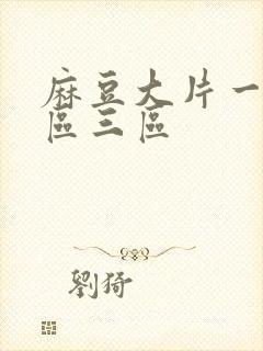 麻豆大片一区二区三区