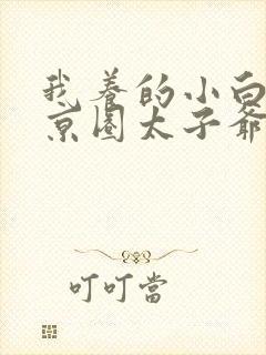 我养的小白脸是京圈太子爷短剧下载