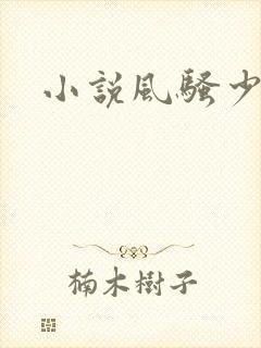 小说风骚少妇
