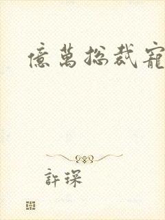 亿万总裁宠妻忙