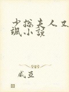 少总夫人又美又飒小说封面