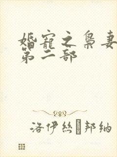 婚宠之枭妻霸爱第二部