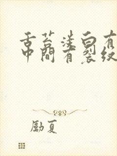 舌苔淡白有齿痕中间有裂纹怎么办