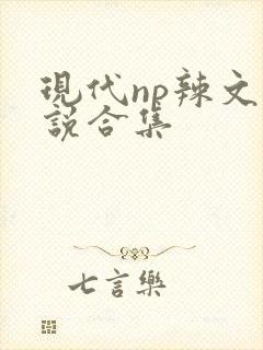 现代np辣文小说合集封面
