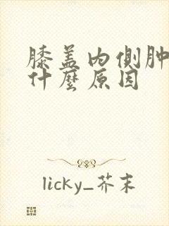 膝盖内侧肿疼是什么原因