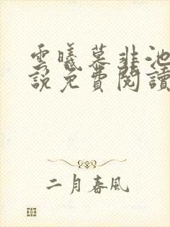 云曦慕非池的小说免费阅读