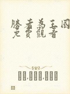 胜者为王国语版免费观看