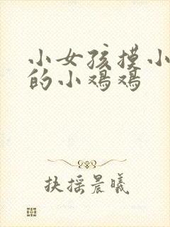 小女孩摸小男孩的小鸡鸡