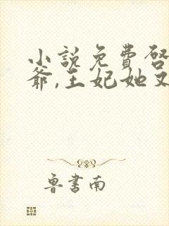 小说免费启禀王爷,王妃她又穷疯了封面