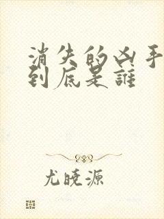 消失的凶手凶手到底是谁