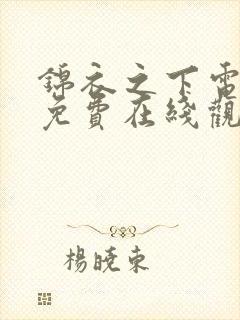 锦衣之下电视剧免费在线观看全集