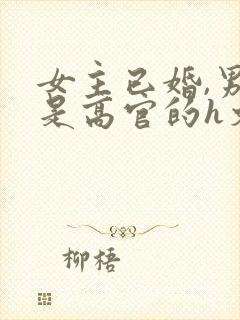 女主已婚,男主是高官的h文