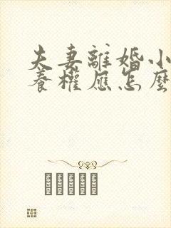 夫妻离婚小孩抚养权应怎么判