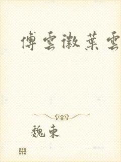 傅云徽叶云结局封面