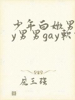 少年白嫩男gay男男gay软件