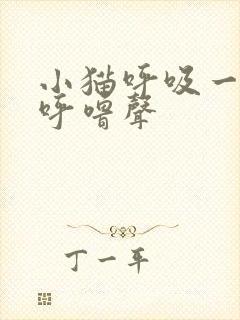 小猫呼吸一直有呼噜声