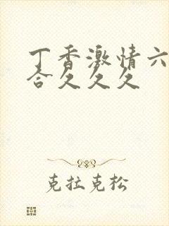 丁香激情六月综合久久久封面