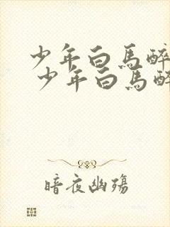 少年白马醉春风 少年白马醉春风封面