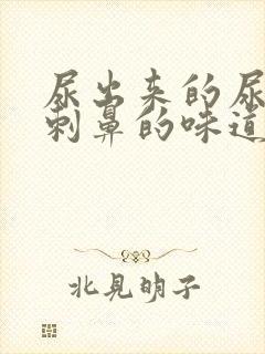 尿出来的尿一股刺鼻的味道是怎么回事