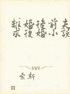 离婚后前夫哭着求复婚小说