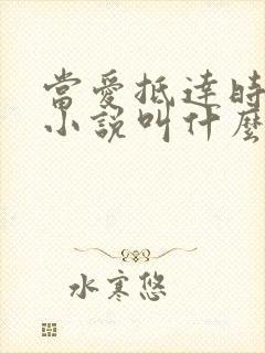 当爱抵达时原著小说叫什么