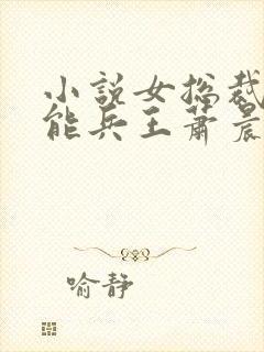 小说女总裁的全能兵王萧晨免费阅读封面