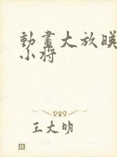 动画大放映神兵小将